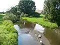 Ansicht der Saale bei Seulbitz