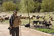 Hirte aus Likouria, Achaia