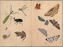 Insekten