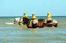 Nordsee-Krabbenfischer mit Kaltblütern in Oostduinkerke an Zee/Belgien, 2005