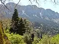 Pinsapar