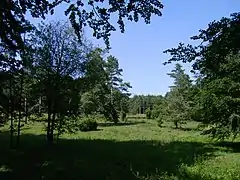 Parklandschaft