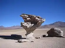 Felsformation Árbol de Piedra