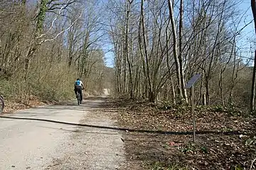 «Schreien / Cri»