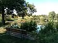 Eine Sitzbank am Teich auf dem südlichen Ufer