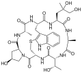 Phalloin
