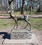 Gazelle