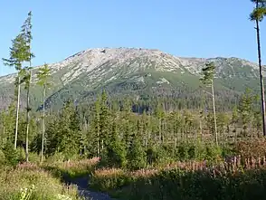 Die Slavkovská dolina am Südhang des Slavkovský štít
