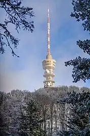 Bild des Objektes