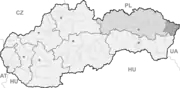 Snina (Slowakei)