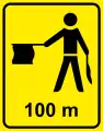 Verkehrslotsen