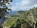 Bäume auf North East Island