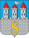 Wappen von Snjatyn