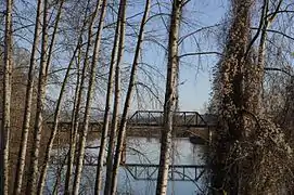 Snohomish River, Washington