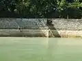 Der Überlauf verhindert, dass der Solgraben bei „vollem“ Solebecken die Sole in die Landschaft fließen lässt