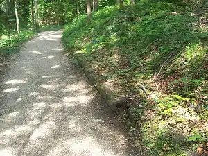 Teil der hölzernen Soleleitung oberhalb des Thumsees