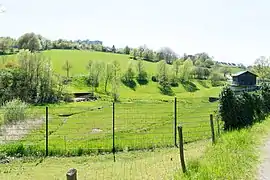 Regenrückhaltebecken