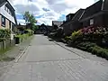 Die Straße Solitüder Waldhöhe (Juni 2015)