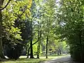 westlicher Parkweg