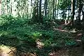 Landwehr in Wieheholz