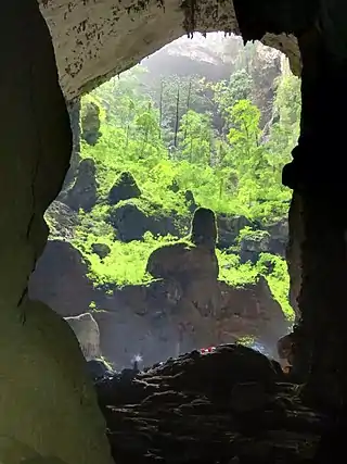 Sơn Đoòng