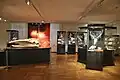 Sonderausstellung "T. rex & andere coole Köpfe" 2018