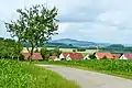 Ahlener Eiche – Blick zum Bussen (Aufnahme 2021)