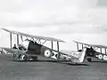 Sopwith 1½ Strutter des Wing 3 des R.N.A.S.