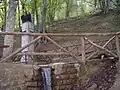 Quelle am Monte Fumaiolo