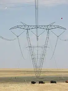 Sechser-Bündelleiter mit einer Betriebsspannung von 765 kV. Betreiber Eskom in Südafrika