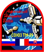 Emblem der Mission