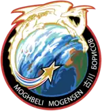 Emblem der Mission