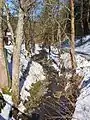 Die Sperrlutter in Silberhütte