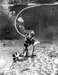 Schwammtaucher unter Wasser, 1946 in Florida (Foto: Hamilton Wright)