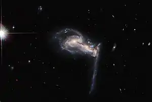 Arp 195 (UGC 4653)