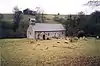 Eine einfache, einstöckige Kirche mit Glockenstuhl und Veranda, aus der Ferne gesehen; Schafe grasen davor.