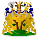 Wappen derer von Stackelberg (1763)