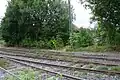 Ein kurzer Bahnsteig reichte in Stadtsteinach, hinter den Bäumen steht das Bahnhofsgebäude