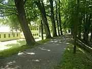 Stadtwall mit Rückseite des Lenbachhauses