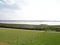 Fährmannssand mit Elbe und Schlickröhricht