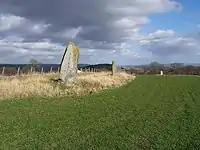 Steinreihe auf der East Cult Farm