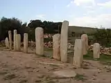 Die Steinreihen von Westen