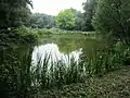 Teich auf dem Gelände des Umweltzentrums Oldenburger Münsterland