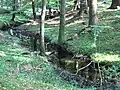 Starzelbach im Bernrieder Wald