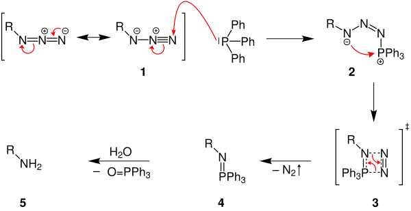 Reaktionsmechanismus der Staudinger-Reaktion