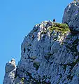 von der Abstiegsroute aus gesehen