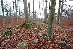 Grabhügel Stegelitz Grab 2