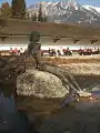 „Frau im Teich“