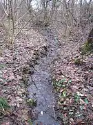 Steinbach-Lauf nach dem zweiten Teich durch den der Bach fließt