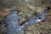 Der Zufluss des Hartenbach (rechts) in die Wied